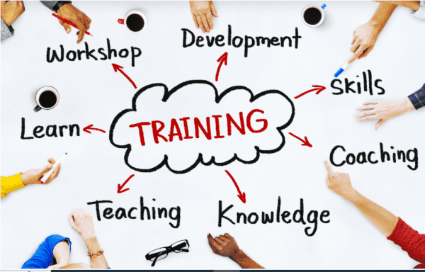 Educational Workshops and Training