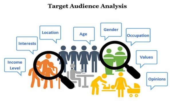 audience analysis in accelerator marketing