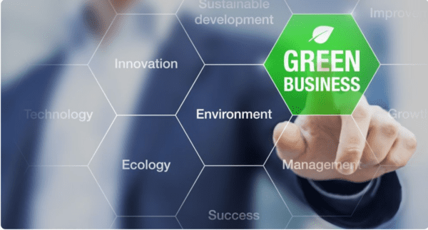 Eco-Friendly Business Models