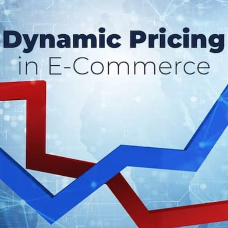 Dynamic Pricing in E-commerce: Maximizing Your Profits