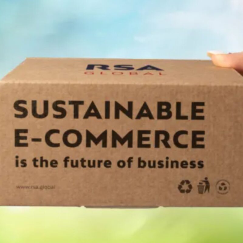 Sustainable E-commerce: Strategies for a Greener Future
