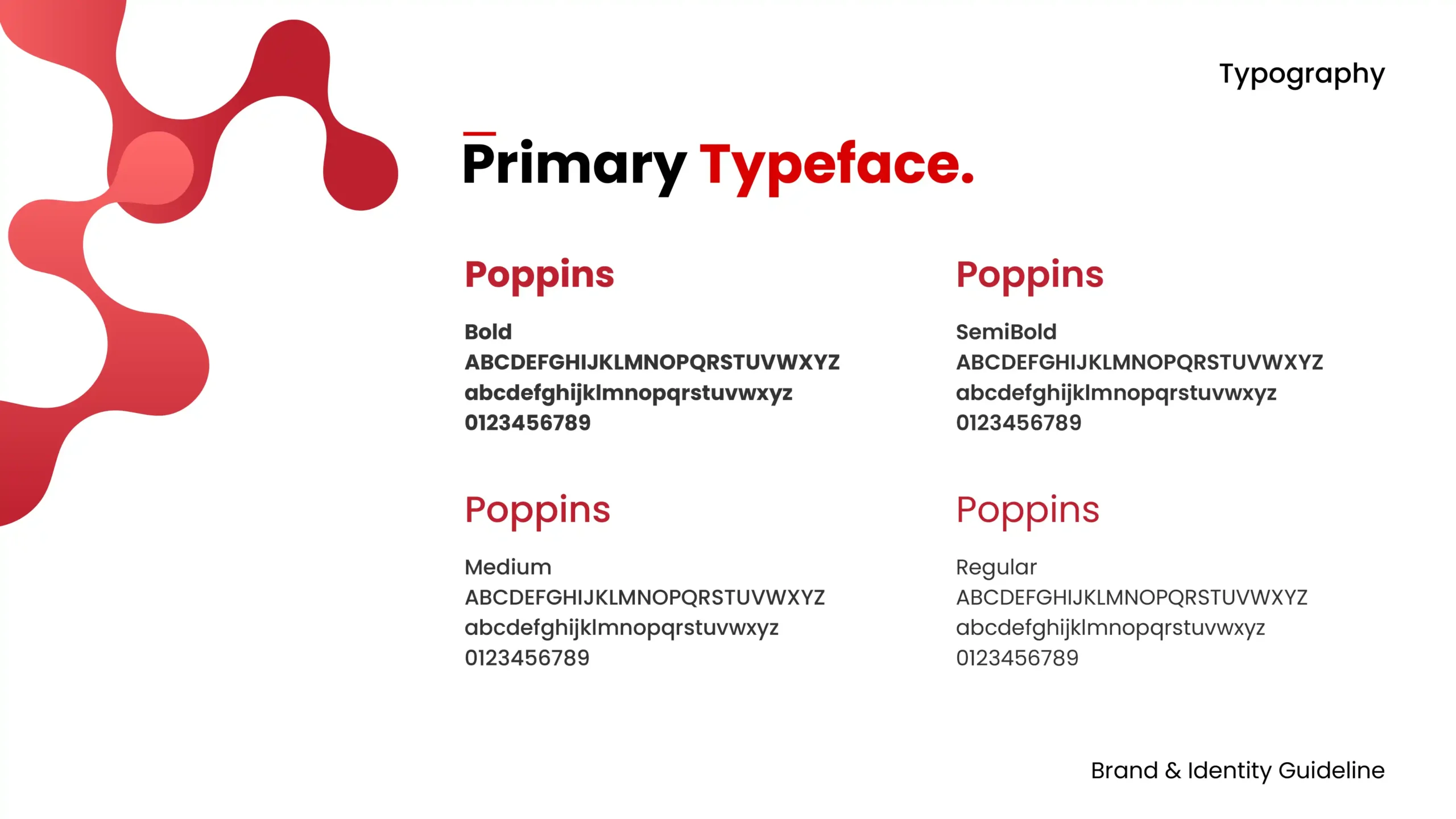 Brand Guideline_12