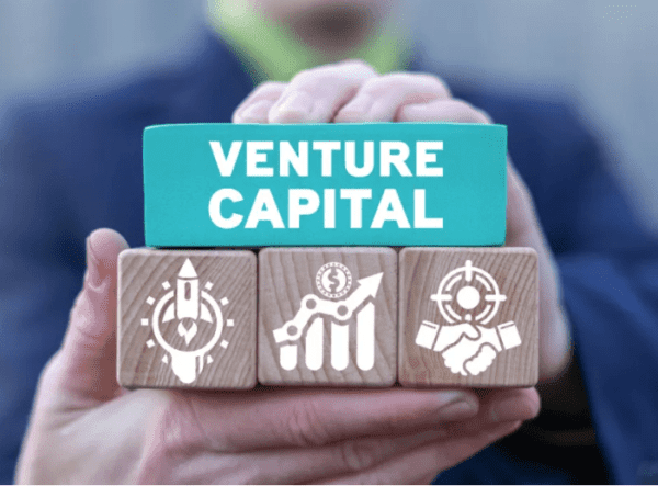 The Role of Venture Capitalists
