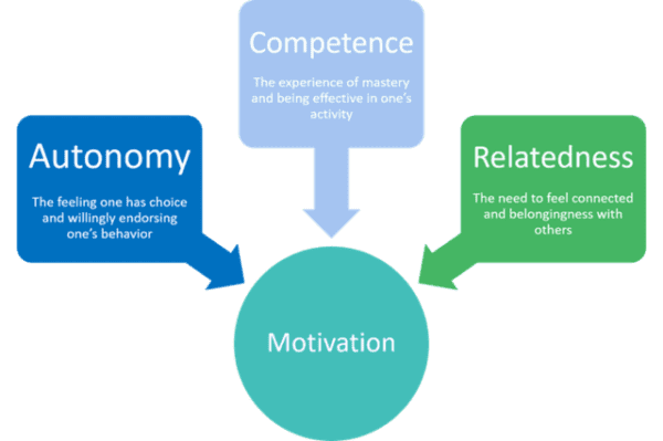 self-determination theory in gamification in learning