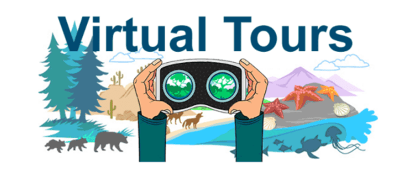 Virtual Field Trips and Simulations