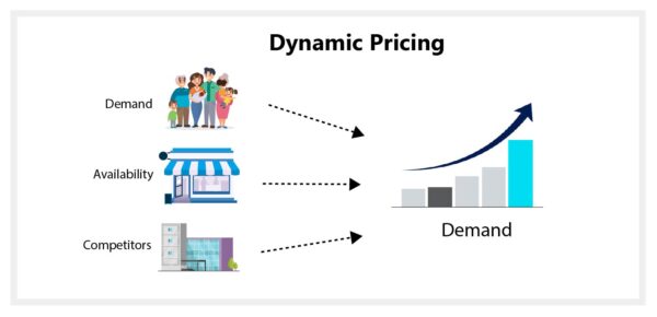 Dynamic Pricing in E-commerce