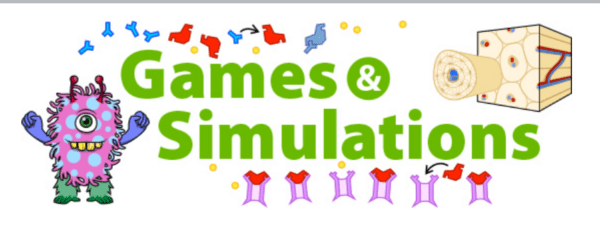 educational games and simulations