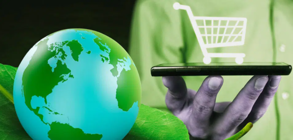 environmental impact of online shopping