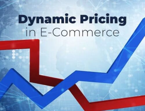 Dynamic Pricing in E-commerce: Maximizing Your Profits