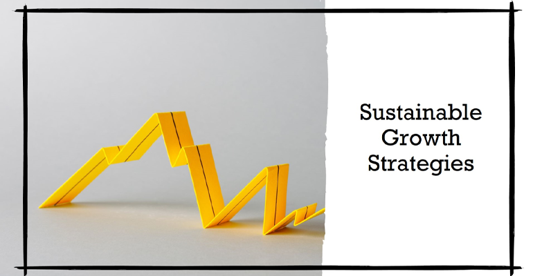 sustainable growth strategy